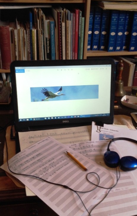 Writing White Storks